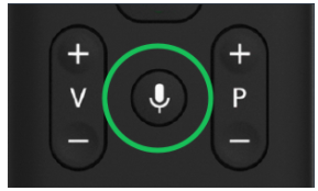 boton microfono agile.png EUSK