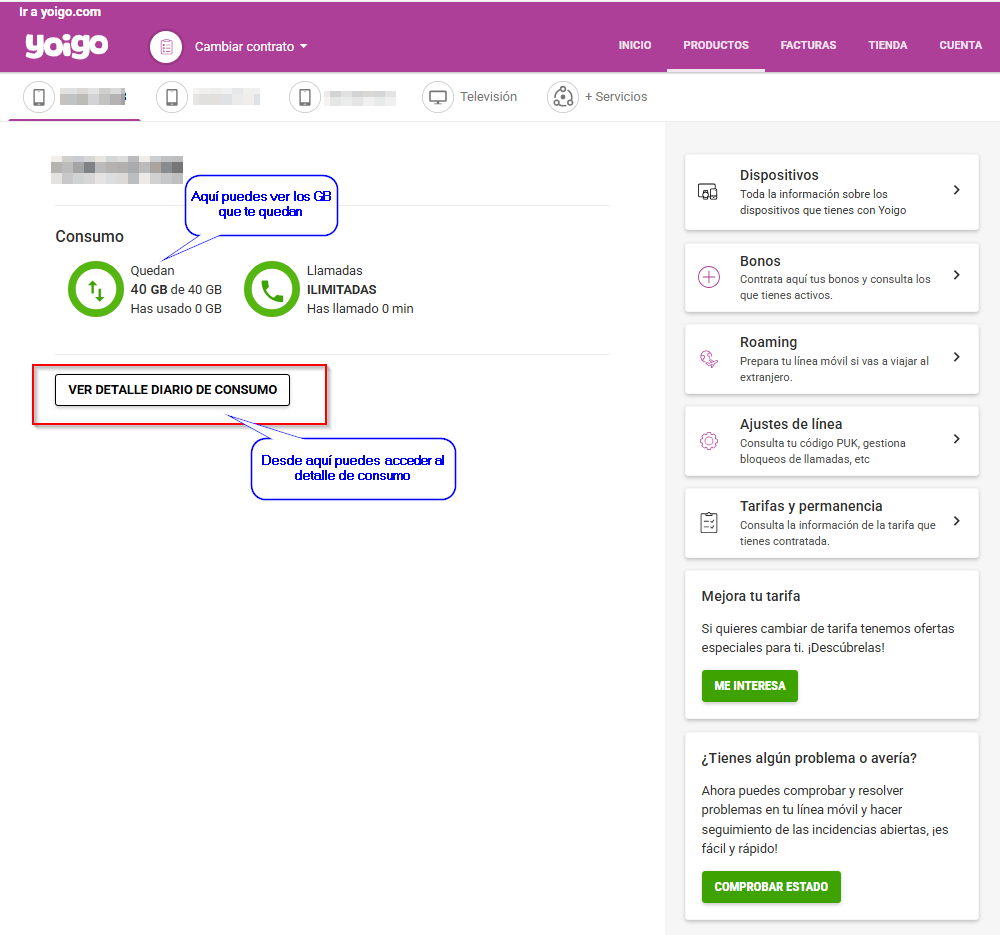 Detalle de consumo mi yoigo web