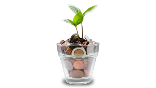 Plantas y monedas